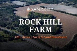Discover Rock Hill Farms for Sale: Land &amp; More! | The Conscious Farmer | Sustainable Agriculture for a Healthier Planet