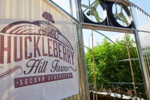 Grow Delicious Huckleberries at These Hill Farms [Guide] | The Conscious Farmer | Sustainable Agriculture for a Healthier Planet