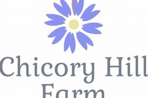 Visit Chicory Hill Farm: Your Local Hill Farms Experience | The Conscious Farmer | Sustainable Agriculture for a Healthier Planet
