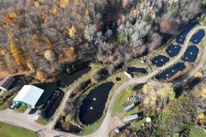 Discover Harrietta Hills Trout Farm: Michigan's Finest! | The Conscious Farmer | Sustainable Agriculture for a Healthier Planet