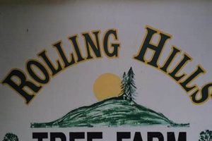 Visit Our Rolling Hills Tree Farm: Trees & More! | The Conscious Farmer | Sustainable Agriculture for a Healthier Planet
