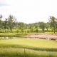 Visit Bunker Hill Farm: History & Fresh Finds | The Conscious Farmer | Sustainable Agriculture for a Healthier Planet