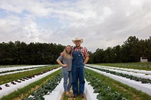 Guide to White Hill Farm: Tips &amp; Advantages | The Conscious Farmer | Sustainable Agriculture for a Healthier Planet