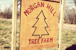 Visit Morgan Hill Tree Farm: Your Local Source! | The Conscious Farmer | Sustainable Agriculture for a Healthier Planet