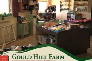 Visit Gould Hill Farm: Pick Your Own Blueberries! | The Conscious Farmer | Sustainable Agriculture for a Healthier Planet