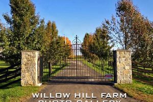 Discover Willow Hill Farm: Your Local Sustainable Choice | The Conscious Farmer | Sustainable Agriculture for a Healthier Planet