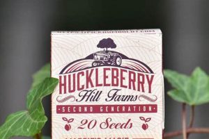 Buy Huckleberry Hill Farms Seeds: Grow Premium Cannabis Now! | The Conscious Farmer | Sustainable Agriculture for a Healthier Planet