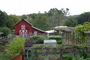 Visit Bluebird Hill Farm NC: Your Premier NC Hill Farm! | The Conscious Farmer | Sustainable Agriculture for a Healthier Planet