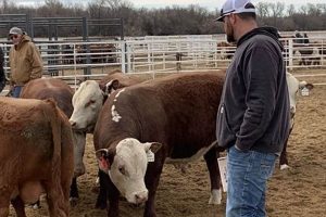 Exploring Sand Hill Farms: Cultivation &amp; Benefits | The Conscious Farmer | Sustainable Agriculture for a Healthier Planet