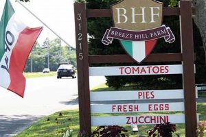 Discover Breeze Hill Farm: Your Local Harvest & More! | The Conscious Farmer | Sustainable Agriculture for a Healthier Planet