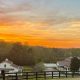 Discover Arbor Hill Farm: Your Sustainable Farm | The Conscious Farmer | Sustainable Agriculture for a Healthier Planet