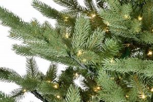 Why Fraser Hill Farm Christmas Trees Shine + Tips | The Conscious Farmer | Sustainable Agriculture for a Healthier Planet