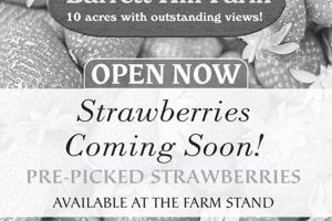 Visit Barrett Hill Farm: Your Local Hill Farms | The Conscious Farmer | Sustainable Agriculture for a Healthier Planet
