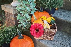 Your Farm Bureau Winder Guide: Events, News & More | The Conscious Farmer | Sustainable Agriculture for a Healthier Planet