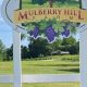 Discover Mulberry Hills Farm: Fresh from the Hills! | The Conscious Farmer | Sustainable Agriculture for a Healthier Planet