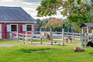 Visit Green Hill Park Farm: Fun & Local Farming! | The Conscious Farmer | Sustainable Agriculture for a Healthier Planet