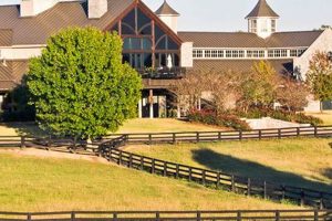 Discover Providence Hill Farm: Your Premier Farm Getaway | The Conscious Farmer | Sustainable Agriculture for a Healthier Planet