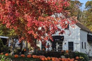 Visit Sport Hill Farm: Fresh Produce & More | The Conscious Farmer | Sustainable Agriculture for a Healthier Planet