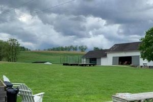 Discover Shilling Hill Farm: Your Local Fresh Farm Produce | The Conscious Farmer | Sustainable Agriculture for a Healthier Planet