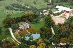Discover the Beauty: Country Hill Farm Life | The Conscious Farmer | Sustainable Agriculture for a Healthier Planet
