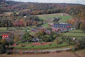 Visit Kirby Hill Farm: Your Guide to Local Hill Farms | The Conscious Farmer | Sustainable Agriculture for a Healthier Planet
