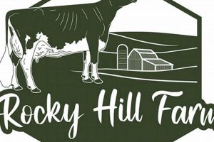 Guide to Rocky Hill Farm Success: Tips & Tricks | The Conscious Farmer | Sustainable Agriculture for a Healthier Planet