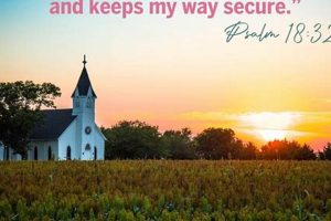 Hampstead NC Farm Bureau: Your Local Ag Resource | The Conscious Farmer | Sustainable Agriculture for a Healthier Planet