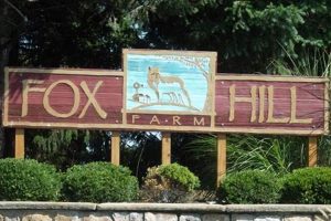 Discover Fox Hill Farm: Fresh & Local! | The Conscious Farmer | Sustainable Agriculture for a Healthier Planet