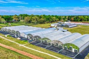 Visit Traders Hill Farm: Produce & More! | The Conscious Farmer | Sustainable Agriculture for a Healthier Planet