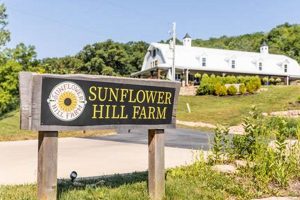 Visit Sunflower Hill Farm: Freshness & Fun! The Conscious Farmer | Sustainable Agriculture for a Healthier Planet Visit Sunflower Hill Farm: Freshness & Fun! | The Conscious Farmer | Sustainable Agriculture for a Healthier Planet