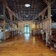 Discover Henry Hill Farm: Your Premier Farm Experience! | The Conscious Farmer | Sustainable Agriculture for a Healthier Planet