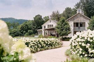 Unveiling Pippin Hill Farm & Vineyard Wedding Cost + Tips! | The Conscious Farmer | Sustainable Agriculture for a Healthier Planet