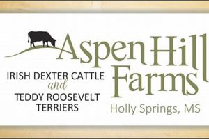 Your Aspen Hill Farms Guide: History, News & More | The Conscious Farmer | Sustainable Agriculture for a Healthier Planet