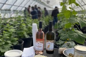 Explore the Pond Hill Farm Menu: Local Delights & More | The Conscious Farmer | Sustainable Agriculture for a Healthier Planet