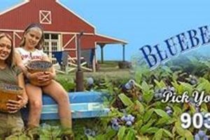 Visit Blueberry Hill Farms: Pick Your Own & More! | The Conscious Farmer | Sustainable Agriculture for a Healthier Planet