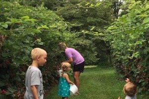 Visit Yellow Hill Farm: Fresh Produce & More! | The Conscious Farmer | Sustainable Agriculture for a Healthier Planet