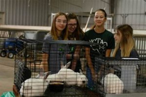 The Serene Happy Hill Farm Texas Experience Today! | The Conscious Farmer | Sustainable Agriculture for a Healthier Planet