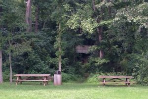 Explore Vint Hill Farms Park: History & Fun! | The Conscious Farmer | Sustainable Agriculture for a Healthier Planet