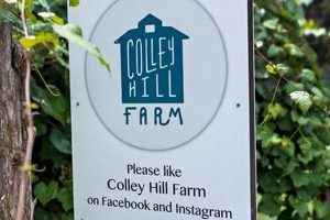 A Guide to Colley Hill Farm: Farming & History | The Conscious Farmer | Sustainable Agriculture for a Healthier Planet