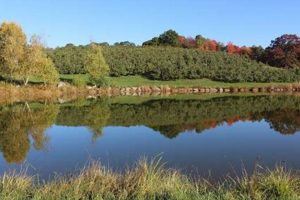 Visit Apple Hill Farm in Concord, NH: A Fall Favorite! | The Conscious Farmer | Sustainable Agriculture for a Healthier Planet