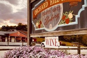 Discover Orchard Hill Farm: Fresh Produce & More! | The Conscious Farmer | Sustainable Agriculture for a Healthier Planet