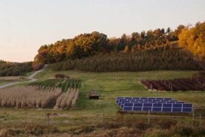 Your Guide to Cider Hill Farm Events: Fun & More | The Conscious Farmer | Sustainable Agriculture for a Healthier Planet