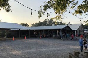 Visit Cedar Hill Farms Hernando MS: Fun & Fresh! | The Conscious Farmer | Sustainable Agriculture for a Healthier Planet