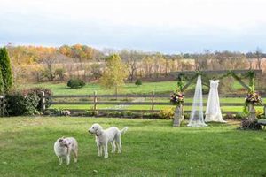 Durham Hill Farm Pipersville: Your Local Farm Guide | The Conscious Farmer | Sustainable Agriculture for a Healthier Planet