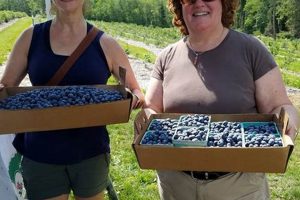 Visit Sugar Hill Berry Farm: A Sweet Berry Experience | The Conscious Farmer | Sustainable Agriculture for a Healthier Planet
