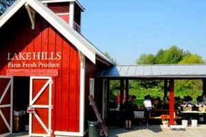 Discover Lake Hills Farm Fresh Produce: Taste the Difference! | The Conscious Farmer | Sustainable Agriculture for a Healthier Planet