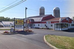 Local Legacy: Freddy Hill Farms Closing Down [Year] | The Conscious Farmer | Sustainable Agriculture for a Healthier Planet