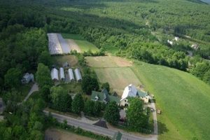 Discover Dimond Hill Farm: Your Sustainable Choice! The Conscious Farmer | Sustainable Agriculture for a Healthier Planet Discover Dimond Hill Farm: Your Sustainable Choice! | The Conscious Farmer | Sustainable Agriculture for a Healthier Planet