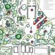 Discover Paxson Hill Farm: Your Local Farm Fresh | The Conscious Farmer | Sustainable Agriculture for a Healthier Planet