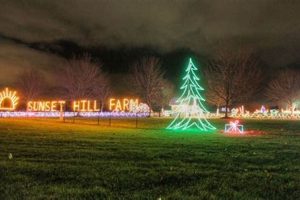 Experience Sunset Hill Farm Christmas Lights Display! | The Conscious Farmer | Sustainable Agriculture for a Healthier Planet